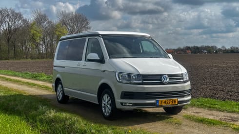 Luxury 5 person Volkswagen Camper