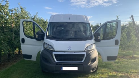Peugeot Boxer L4 uit 2016  – Jungle Vibes with YPKE