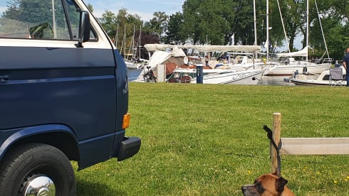 Rusty – Volkswagen T3 Westfalia (automatic), Retro