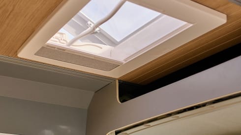 Voor de sfeermakers – Autobus Peugeot 2p de 2023