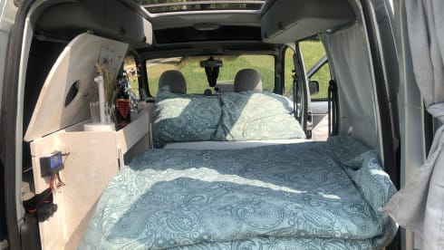 Willi – Vermiete Renault Kangoo Minicamper Eigenumbau