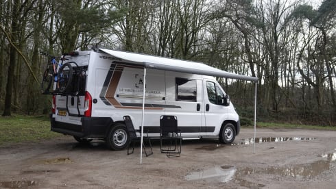 X-790-VR – 3p Other bus from 2022