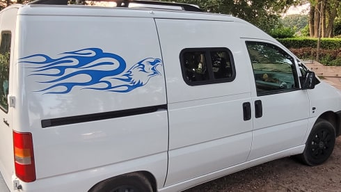 2p Fiat bus from 1996