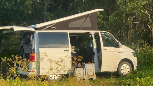 No bad days Van – VW T6 Camper - Pop roof