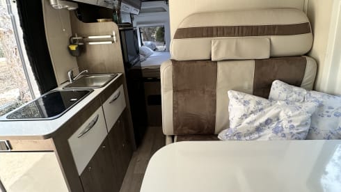 4p Bavaria bus uit 2026