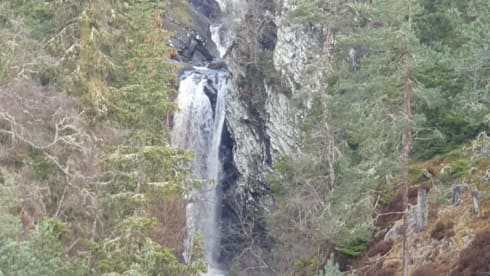 Daisy  – 4 berth Dethleffs semi-integrated from 2018