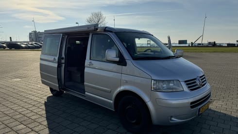 bear hunter – 4p Volkswagen California T5 bus 