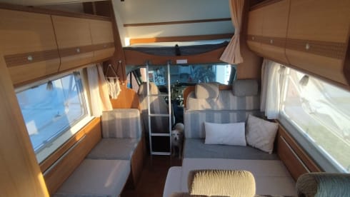 Very spacious family motorhome, 6 seats with belts