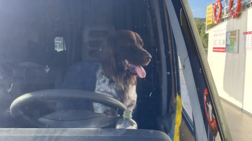 Bob – 2p Fiat Wohnmobil aus dem Jahr 2001