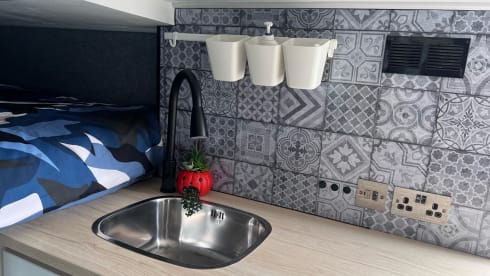 White Shark  – Wild Camper