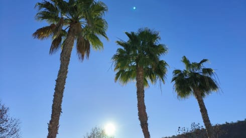 Fritsy – 2p Fiat bus uit 1991