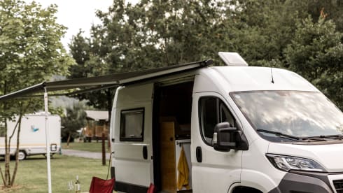 Roadturtle – Bus camper Peugeot for the ultimate holiday