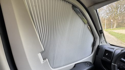 3p Benimar bus from 2019