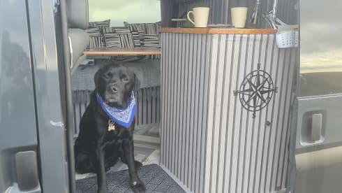 Samuel – Ford-Bus mit 3 Schlafplätzen aus dem Jahr 2013