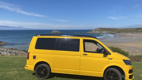 Bumblebee – Bumblebee T6 - entièrement équipé et assuré 