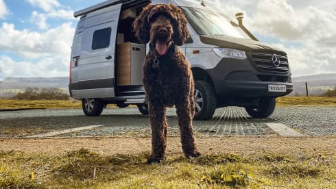 Miss Daisy (Dog Friendly) Discount available on bookings two weeks or more.  – 4 berth Mercedes-Benz campervan (SALE ON)