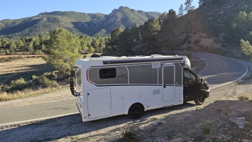 Mango Dream - Just GO! – 4p Dethleffs semi-integrated from 2026