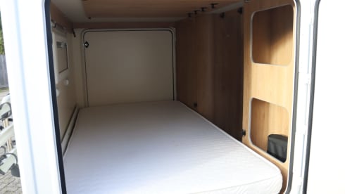 Équipe de roller 6p Alcove de 2018