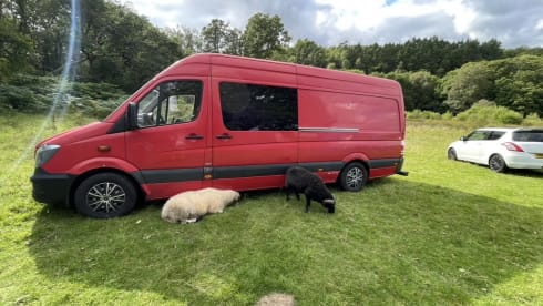 Clifford  – Mercedes campervan met 4 slaapplaatsen