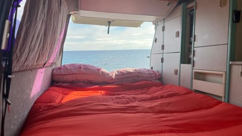 Dani – Volkswagen t4 Reimo