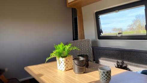 Bussie – Beautiful Adventure bus (2P), completely NEW equipped, also for tall people!