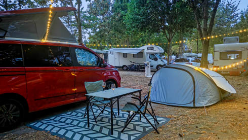 Harry Trotter – 4p Other campervan from 2024