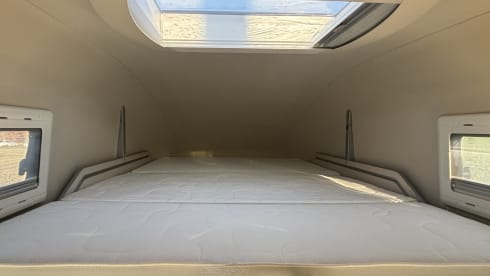 Mein Nugget – Mit dem FORD Nugget on tour, ideal für Alleinreisende oder zu zweit!