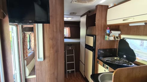 All-in holiday with the camping bear