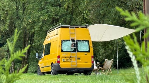 SURF UP! (Wildcamp proof!)