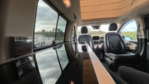 Molly – 4 berth Mercedes-Benz Marco Polo campervan from 2019