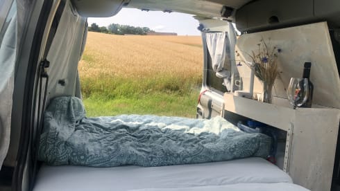 Willi – Vermiete Renault Kangoo Minicamper Eigenumbau