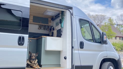 Lockdown Lucy – Lockdown Lucy takes you wherever you want