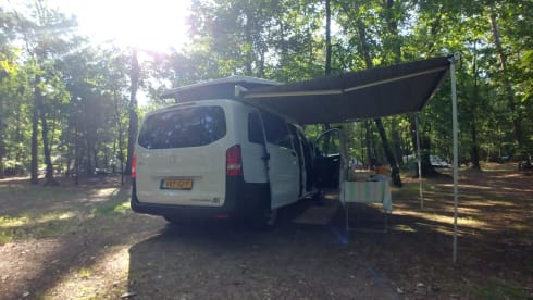 Zonnegeel – 3 person Mercedes-Benz bus from 2017