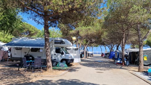 Famillie camper – Fiat Alcove mit 4 Sitzen ab 2026