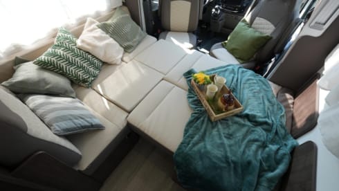 Cocoon 444 – 5p Ford semi-integrated uit 2025