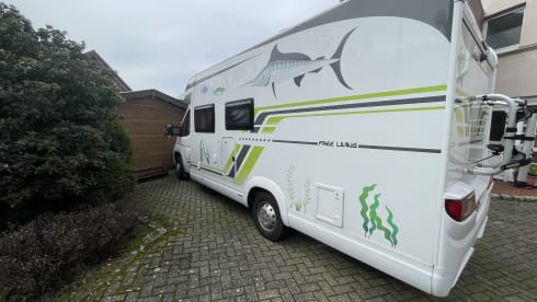 Free Living – 4p Citroën other from 2020