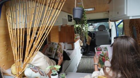 Sky – 2p Ford bus uit 2005