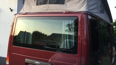 Nuggie – Nuggie wants to go, red Ford Transit nugget westfalia from 2006