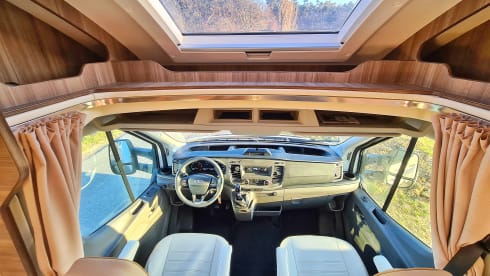 Roadie – Campignon Rimor Evo 66 Plus 2022