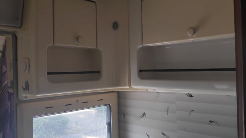 Spacious camper for up to 4 people with access to Umweltzonen (D)