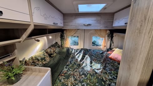 Hermes – Adventurous Bravia Swan 599 Trend 165hp