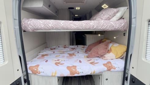 Niceshot  – Brand new van