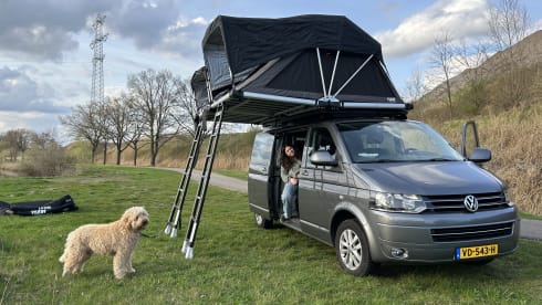 Rooftop party Van  – Happy 4 person Volkswagen party Van.