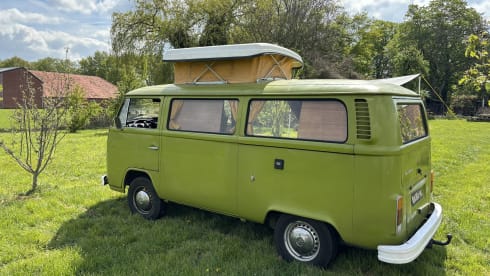 The Hulk – Westfalia – Beautiful Classic Camper For Rent! 