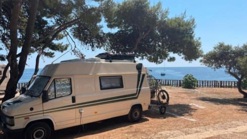 Rosie – 2p Peugeot bus from 1991