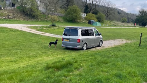 Ivy – Pet friendly VW campervan - MK13 Milton Keynes