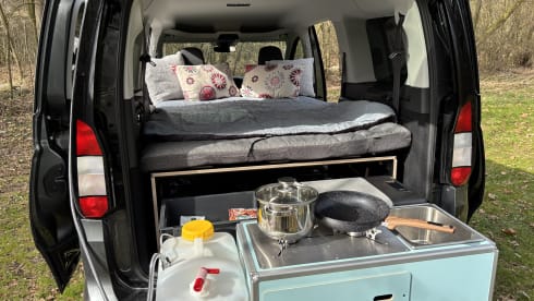 Zermatt – Ford Tourneo