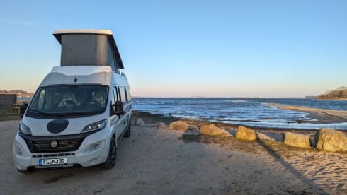 Der echte Norden Nr. 2 – bunk31 #2