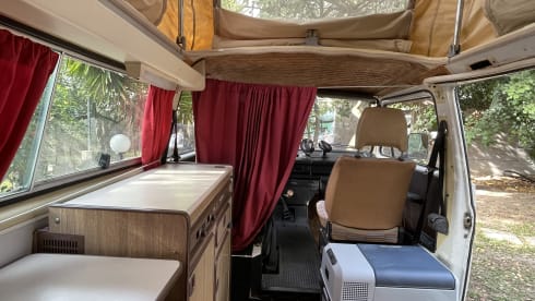 NINA – Volkswagen t3