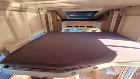 Ford Roller Team teilintegriert (2026)